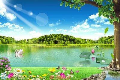 Ảnh gốc File in tủ nhựa TU6013 (độ nét cao) in mica