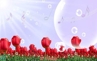 Tải về file gốc File in tủ nhựa TU6029 (dùng cho in quảng cáo)