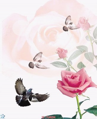 File in trần File in tủ nhựa TU6034 (bản gốc) đại dương