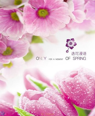 File gốc File in tủ nhựa TU6044 (PSD/TIFF) độ phân giải cao