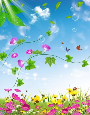 File tranh in mica File in tủ nhựa TU6049 (độ phân giải cao)