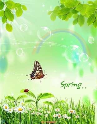 File in lụa File in tủ nhựa TU6050 (hoa văn) File in tủ nhựa TU6050