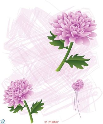 File in mica File in tủ nhựa TU6057 (bản gốc) sắc sảo