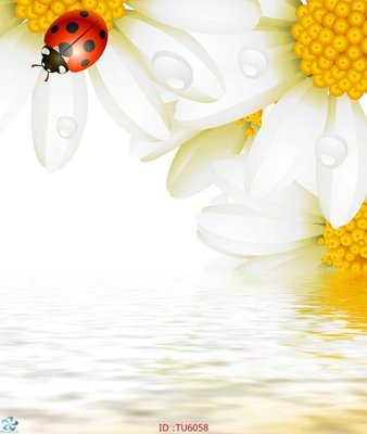 Chi tiết file gốc File in tủ nhựa TU6058 (cho in tráng gương)