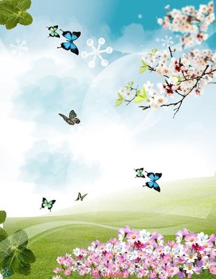 File tranh File in tủ nhựa TU6064 (gốc) chủ đề con người