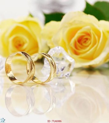 Tải file File in tủ nhựa TU6086 (gốc) làm file thiết kế