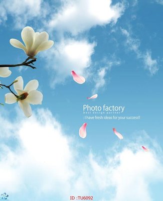 Chi tiết file tranh tráng gương File in tủ nhựa TU6092 (ảnh gốc)