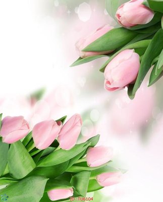 Mua file gốc File in tủ nhựa TU6104 (chất lượng) tại Filetranh.com