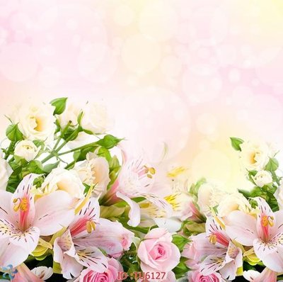 File gốc File in tủ nhựa TU6127 (dành cho trang trí nội thất)