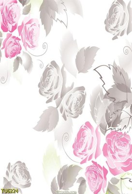 File in trần File in tủ nhựa TU6224 (bản gốc) trời sao