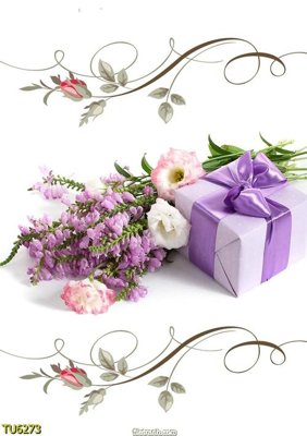 Tải file File in tủ nhựa TU6273 (gốc) in tranh tráng gương