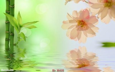 Tải về file gốc Tường nền 3D hiện đại 3D225 (chuẩn in ấn)