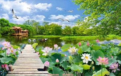 Tải file File tranh phong thủy 9052 (gốc) chủ đề hoa sen