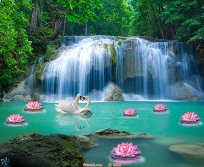 Ảnh gốc file in lụa File tranh phong thủy 9220 chi tiết