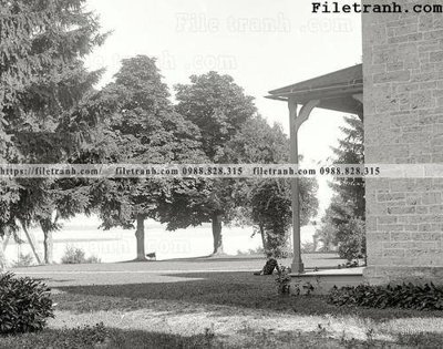 File gốc in ấn A Boy and His Dog_ 1900 chất lượng vượt trội