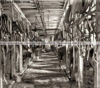 File tranh A Horse's Tail_ 1914 (ảnh gốc) độ nét vượt trội