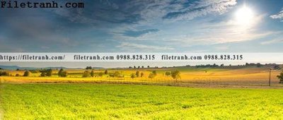 Tải file Anh toan canh phong canh dai 144 (PSD) cho in ấn quảng cáo