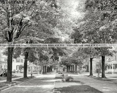 Download file gốc Arnold Park_ 1905 (in mica) logo