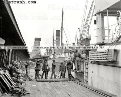 File in trần Bamananas_ 1906 (file gốc) hoa văn 3D