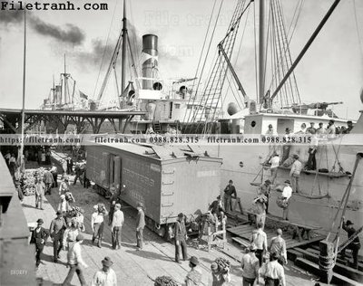 Tải file Banana Boat_ 1903 (gốc) chủ đề hoa sen