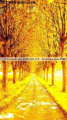 Tải file Buc tranh trang tri loi vao Dai lo Vang 118 (ảnh gốc) in tráng gương