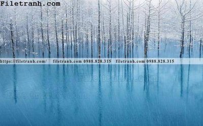 Download file ảnh gốc Buc tuong nen hong hac rung nhiet doi Bac Au 156 để in ấn