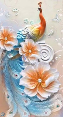 Download file File gốc tranh chim công CC10 (gốc) in mica bàn thờ