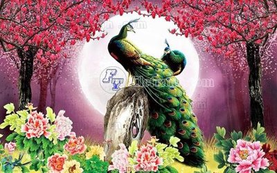 File gốc File gốc tranh chim công CC119 (in ấn) không giới hạn