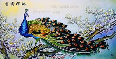 File gốc File gốc tranh chim công CC150 (in 3D) cho trang trí