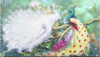 Download file File gốc tranh chim công CC151 (gốc) cho xưởng in