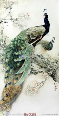 File in trần File gốc tranh chim công CC155 (bản gốc) phong cảnh