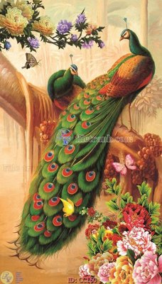 File tranh File gốc tranh chim công CC160 (gốc) chủ đề động vật