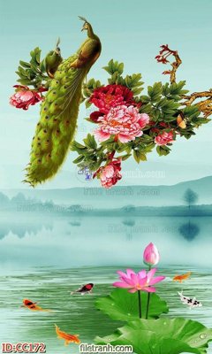 File ảnh File gốc tranh chim công CC172 (gốc) in quảng cáo ngoài trời