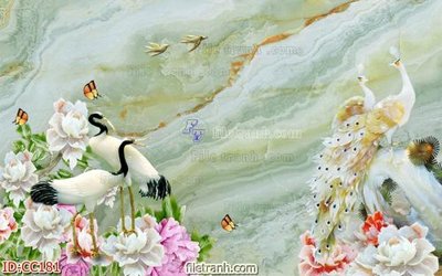 File tranh File gốc tranh chim công CC181 (gốc) in film