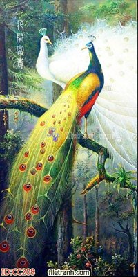 File gốc File gốc tranh chim công CC208 (PSD/TIFF) độ phân giải cao