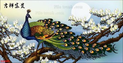 Tải file File gốc tranh chim công CC267 (ảnh gốc) độ phân giải 300dpi