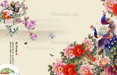 File in trần File gốc tranh chim công CC287 (bản gốc) bầu trời