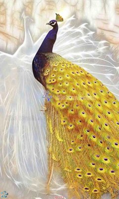 File in lụa File gốc tranh chim công CC3 (phong cảnh) File gốc tranh chim công CC3