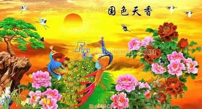 File gốc File gốc tranh chim công CC35 (thiết kế) cho in ấn