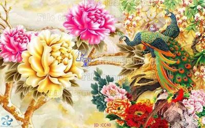 File tranh File gốc tranh chim công CC40 (bản gốc) in lụa 5D