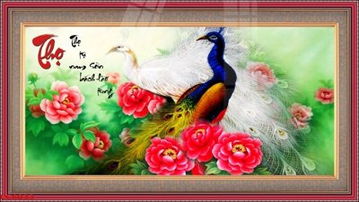 File gốc File gốc tranh chim công CC6033 (PNG) trong suốt (transparent)