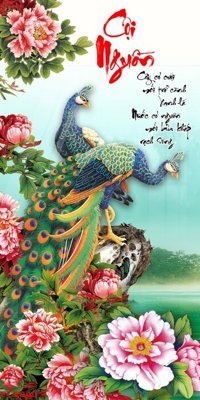 Download file File gốc tranh chim công CC6040 (chuẩn in) chất lượng cao