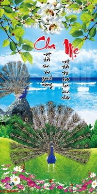 File tranh quảng cáo File gốc tranh chim công CC6041 (file gốc) chuyên nghiệp