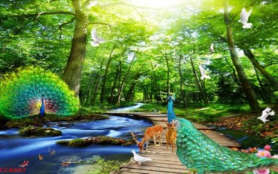 Download file File gốc tranh chim công CC6047 (gốc) in mica cao cấp