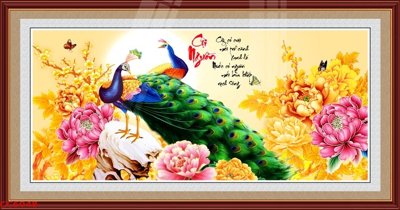 Tải file File gốc tranh chim công CC6048 (gốc) in trên mọi chất liệu