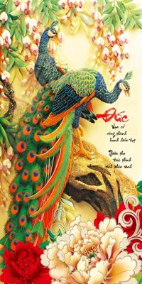 Ảnh mô tả file gốc in mica File gốc tranh chim công CC6075