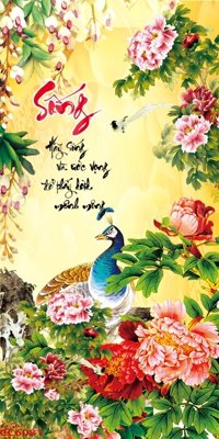 File PSD File gốc tranh chim công CC6081 (gốc) nhiều lớp (multi-layer)