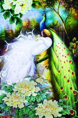 File gốc File gốc tranh chim công CC6088 (in lụa) cao cấp