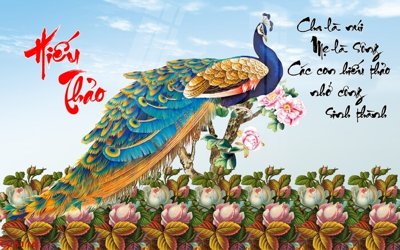 File ảnh File gốc tranh chim công CC6116 (gốc) in PP, decal