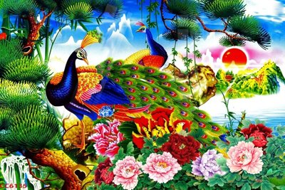 File tranh File gốc tranh chim công CC6135 (bản gốc) trang trí văn phòng